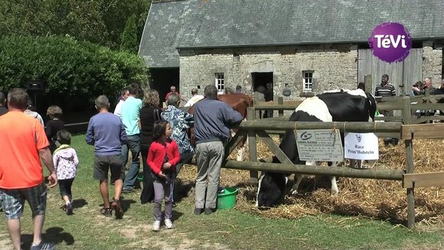 17 juillet 2012 - 7ème édition de Vaches en Fête à Sainte Mère Eglise