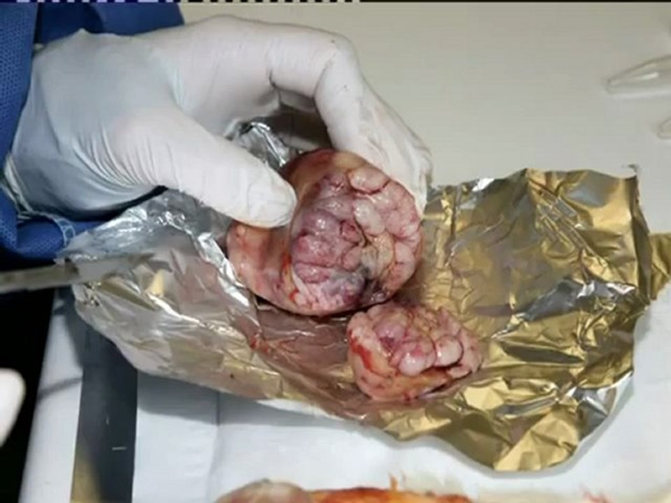 OGM, le moment de vérité ?