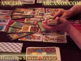 Horoscopo Acuario del 26 de febrero al 3 de marzo 2012 - Lectura del Tarot