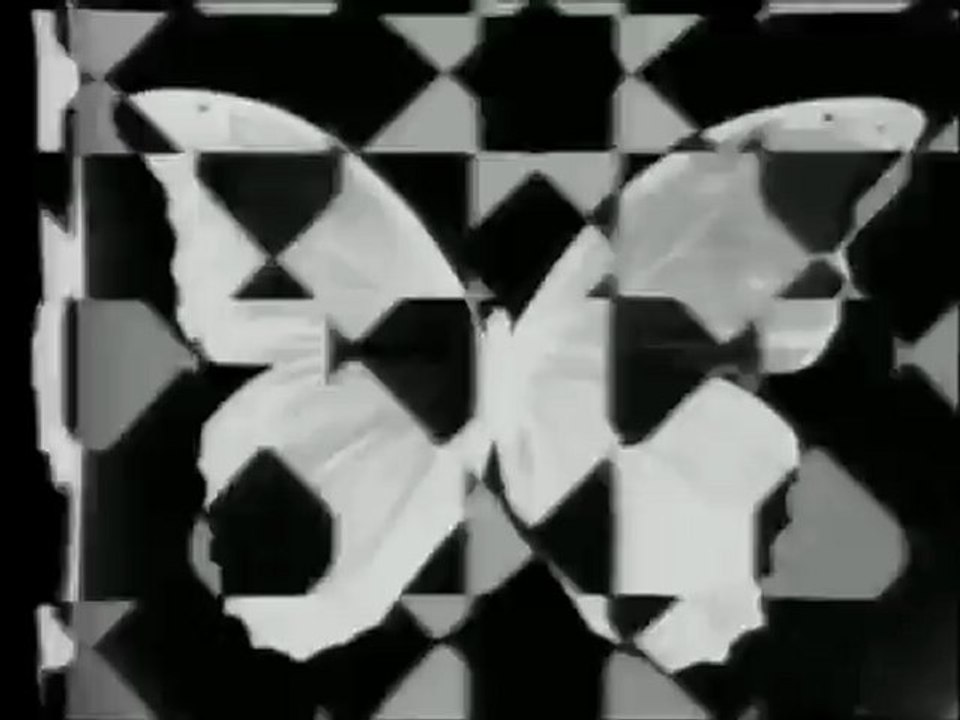 Les papillons noirs 1966