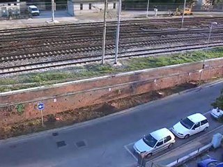 cipressi tagliati spunta lepigrafe