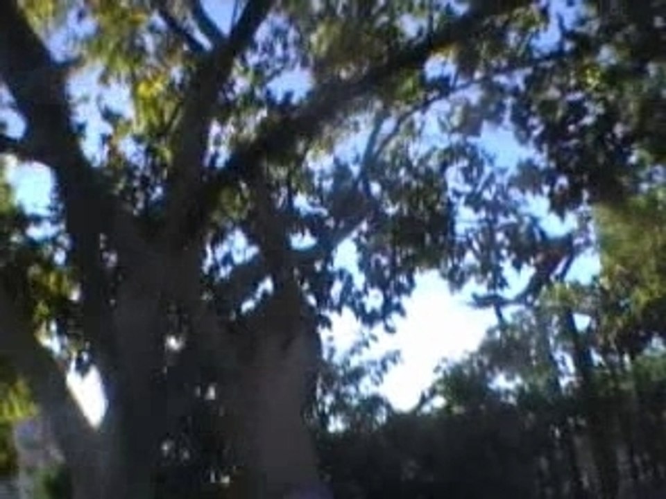 South Project - HGKR Training SP (Pak&Mik) '06