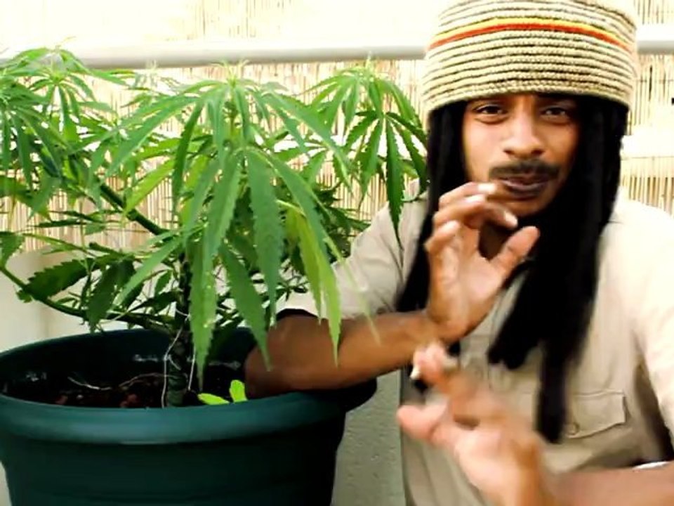 Sweet ganja (Me run come)