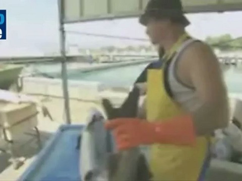 The best caviar is israeli.