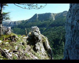 Trail  tour du Toulau  et Crete de Comblezine (Vercors centre)