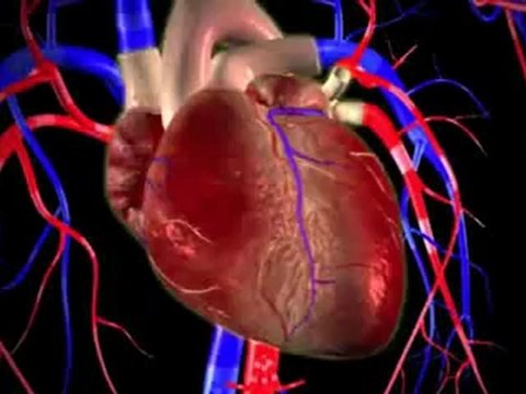 Dr. Sarbaziha Highlights Ischemic Heart Disease Risk Factors