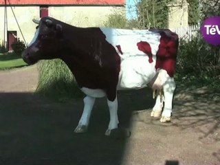 9 juillet 2012 - Ferme pédagagique et soirée gâchée à Raids