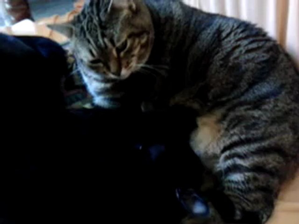 Fan et Betty sept 2012 007