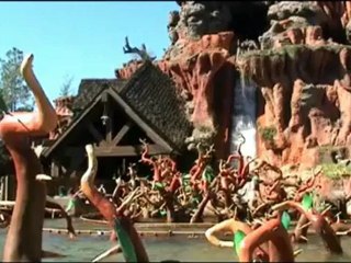 Disney World - Splash Mountain - THE RIDE