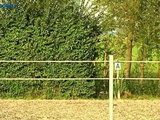 Het Groninger Paard bestaat 30 jaar - RTV Noord