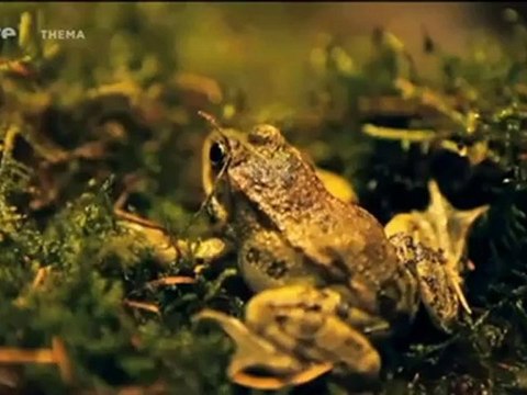 Mes ancêtres et moi (La fin des croyances créationnistes)