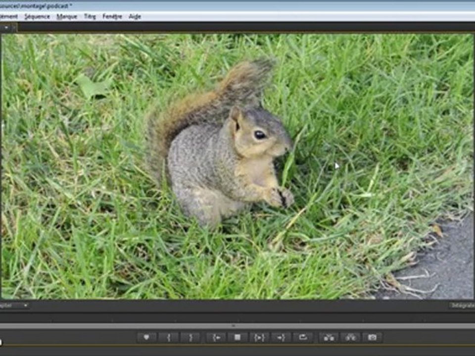 Premiere Pro CS6 : Nouvel effet de stabilisation