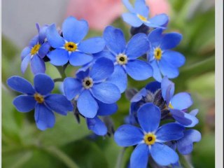 Teresa Budzisz-Krzyżanowska - Nie jestem gotowa