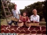 Good Things Grow in Ontario 1980