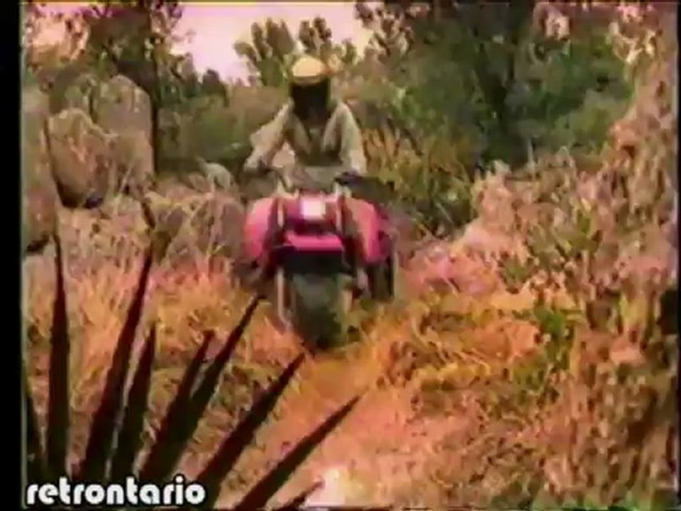 Honda ATC 1985