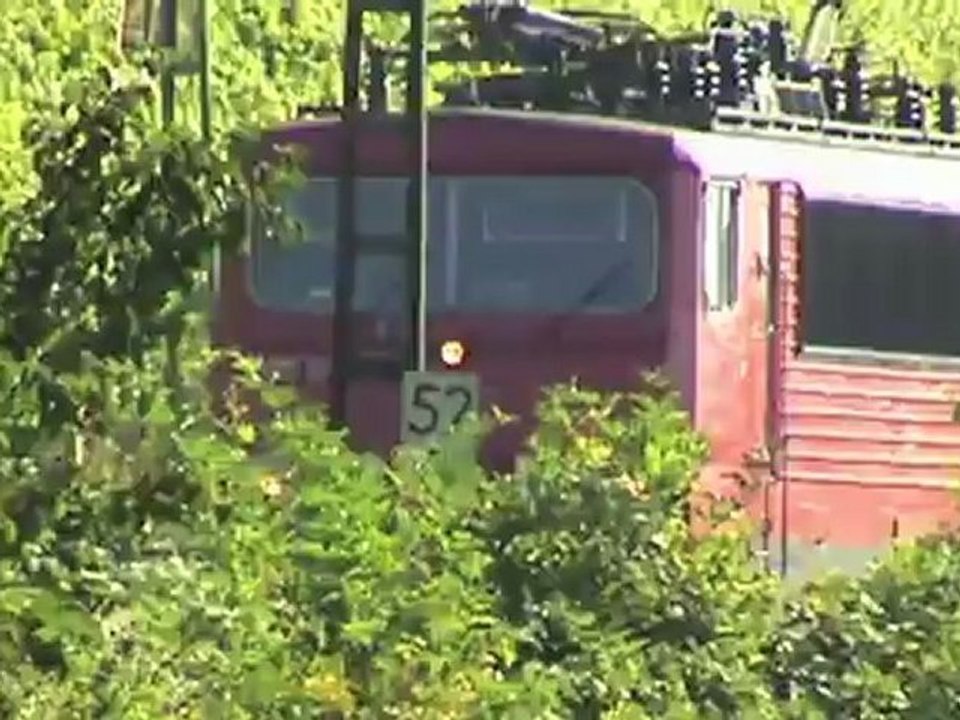 Züge bei Hattenheim am Rhein, Alpha Trains-Crossrail 185, 155, 3x DBAG 185, 427, 2x 428