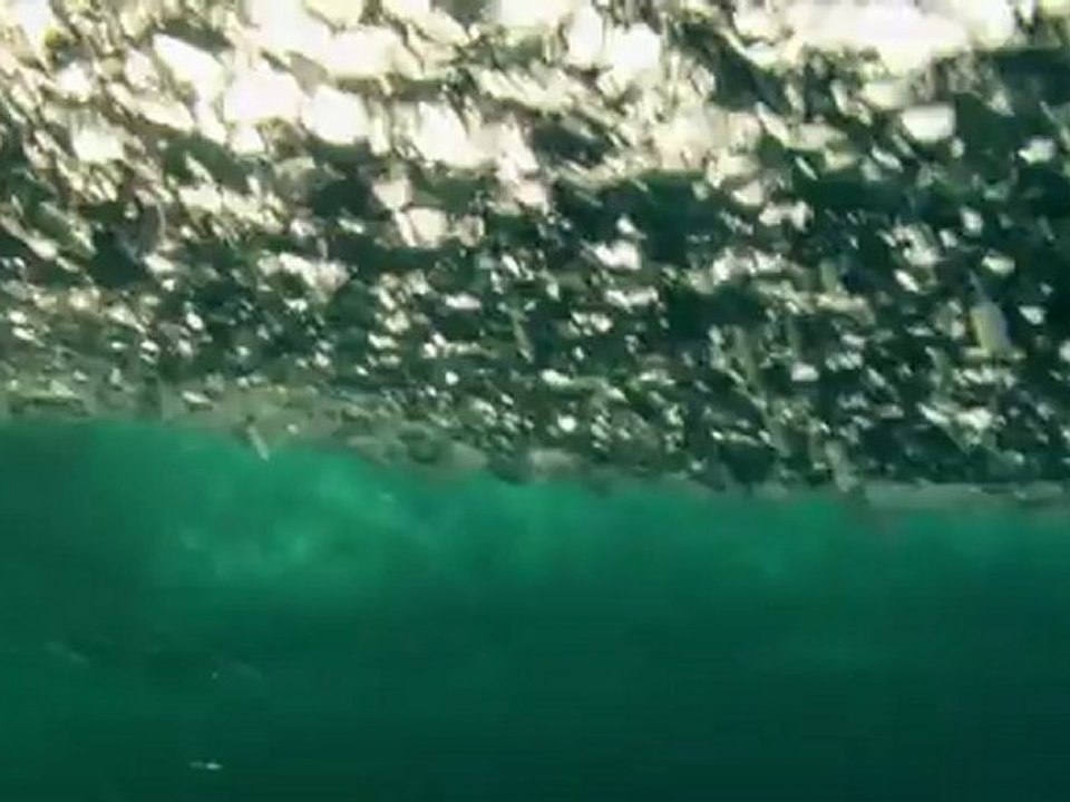 Benjamin Sanchis - I surf because short film