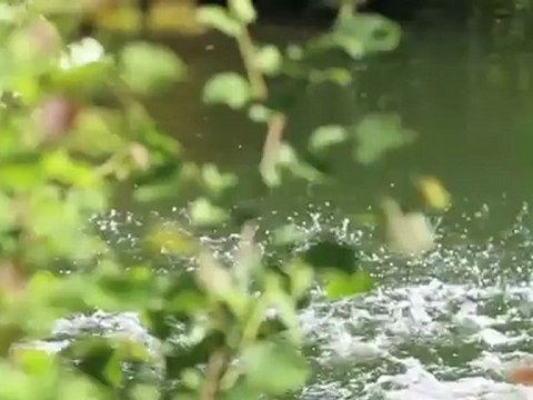 Welcome to the team SeventyOne Percent Summer 2011