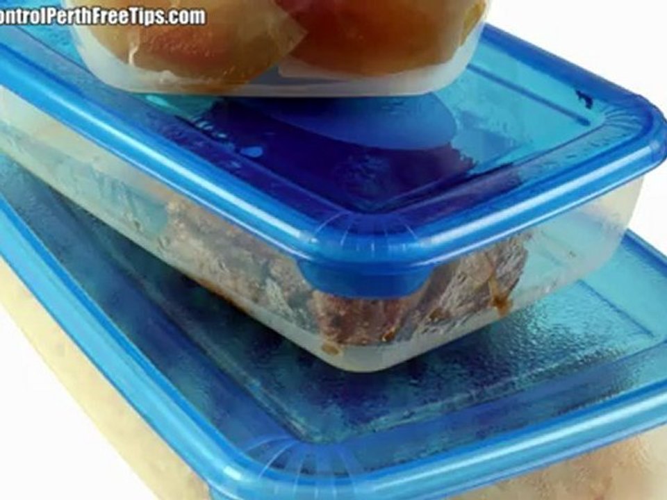 Cockroach Control Perth - The Disease With 6 Legs