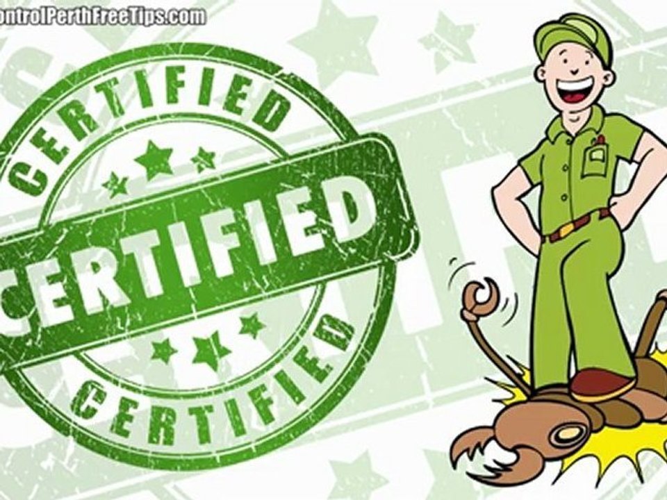 Pre Purchase Building Inspections Perth