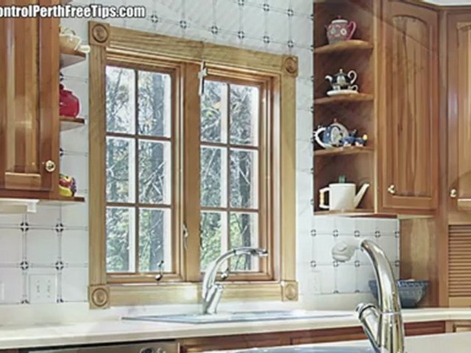 Rodent Control Perth - Prevention Tips