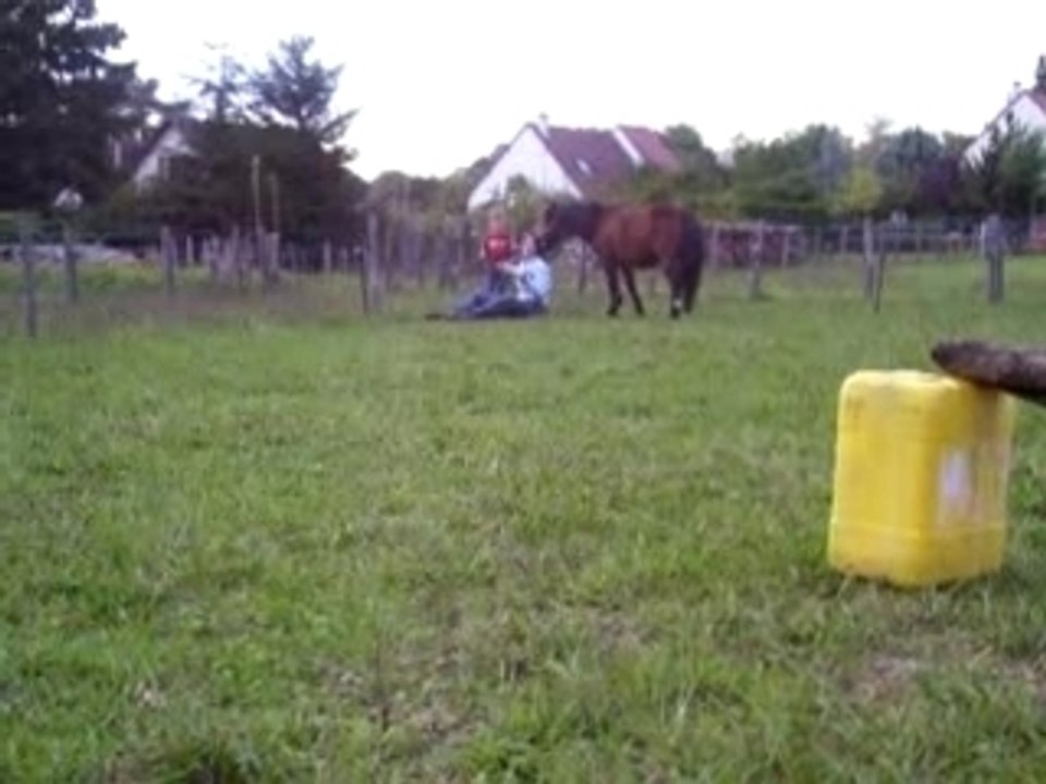 Chute avec Chita 2 (au pas)