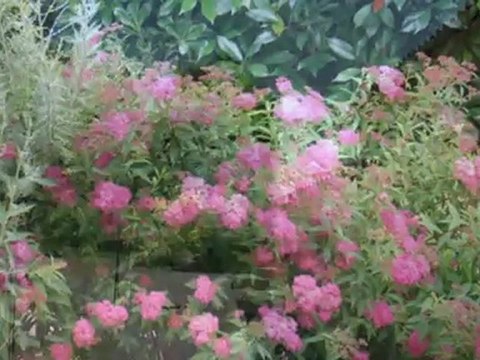 Antre Nous... entre mer et garrigue