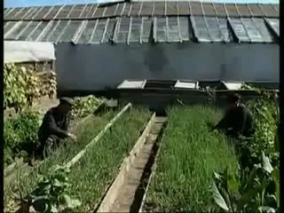 Иркутская зона. Базар по фене 2012