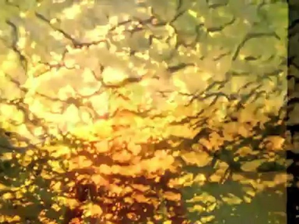 Jamie O'Brien Etnies Video Clip