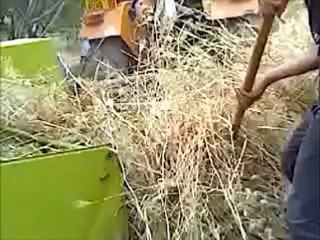 Village oulad ali ben athman - draa kebila (Bottelage de foin des agriculteur)