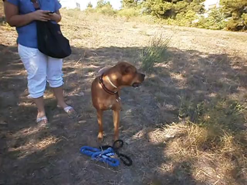 Redden et ses copains au terrain 21-09-2012