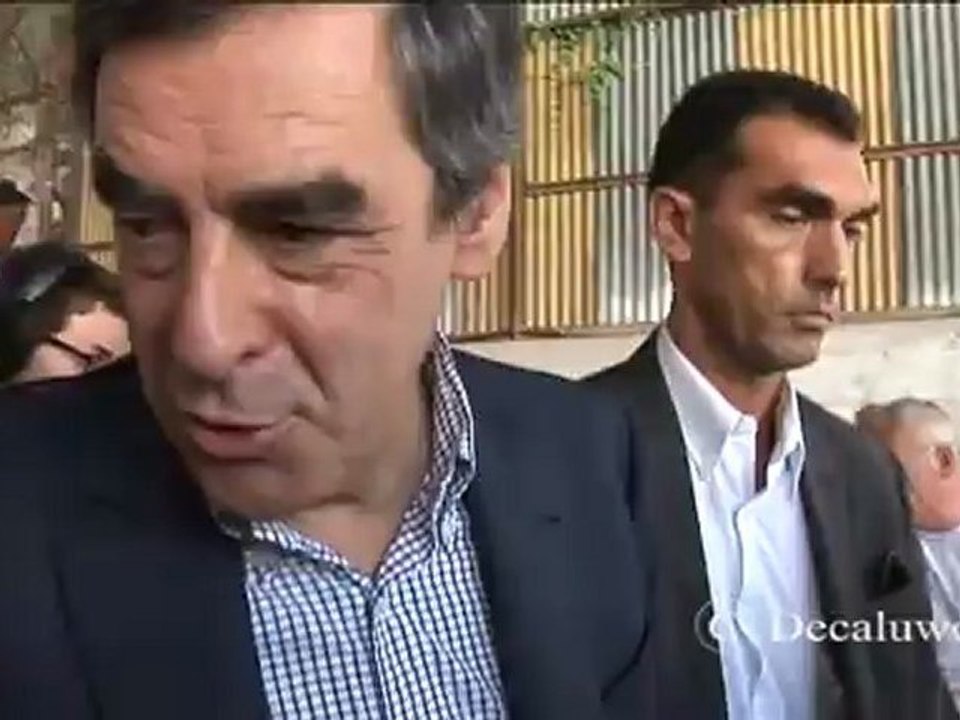 FILLON cheville