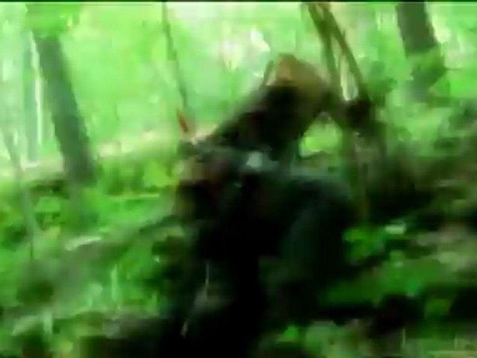 Bubblin' In The Cut :: The Walking Dead (Daryl Dixion)