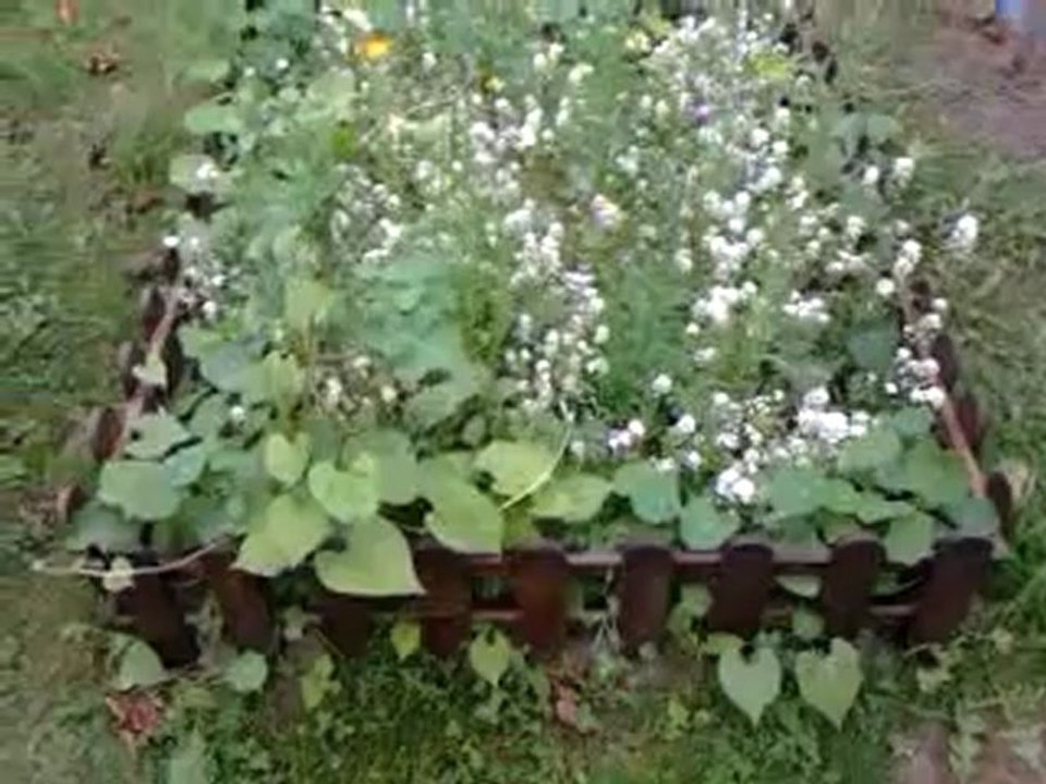 jardin japonais 17 09 12