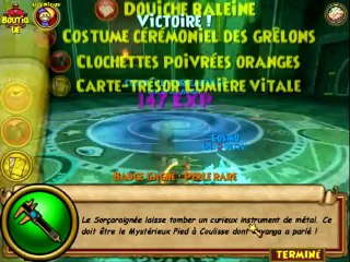 Wizard101 : Score 1 Million avec un Farfadet !!! badge PerleRare à 1.000.000