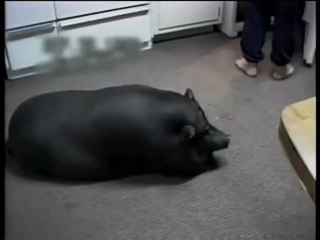 tiffany jewellery   http://www.tiffanyringsoutlet.co.uk/