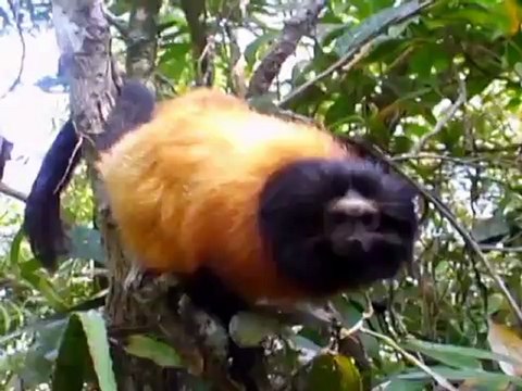 Jornal Nacional 21-09-2012 Edição de sexta-feira