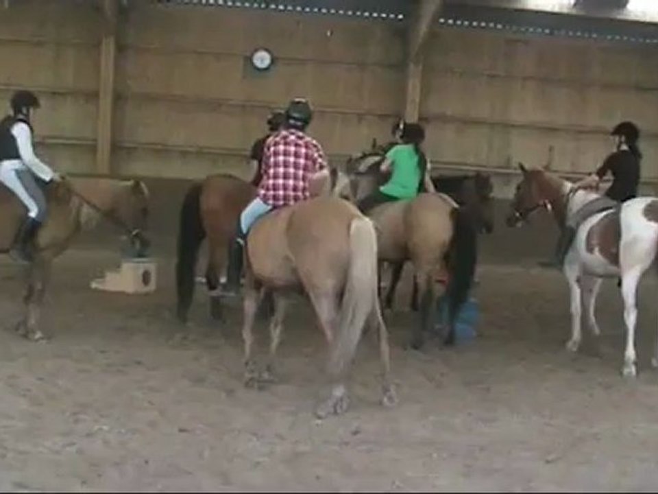 équitation, jeux