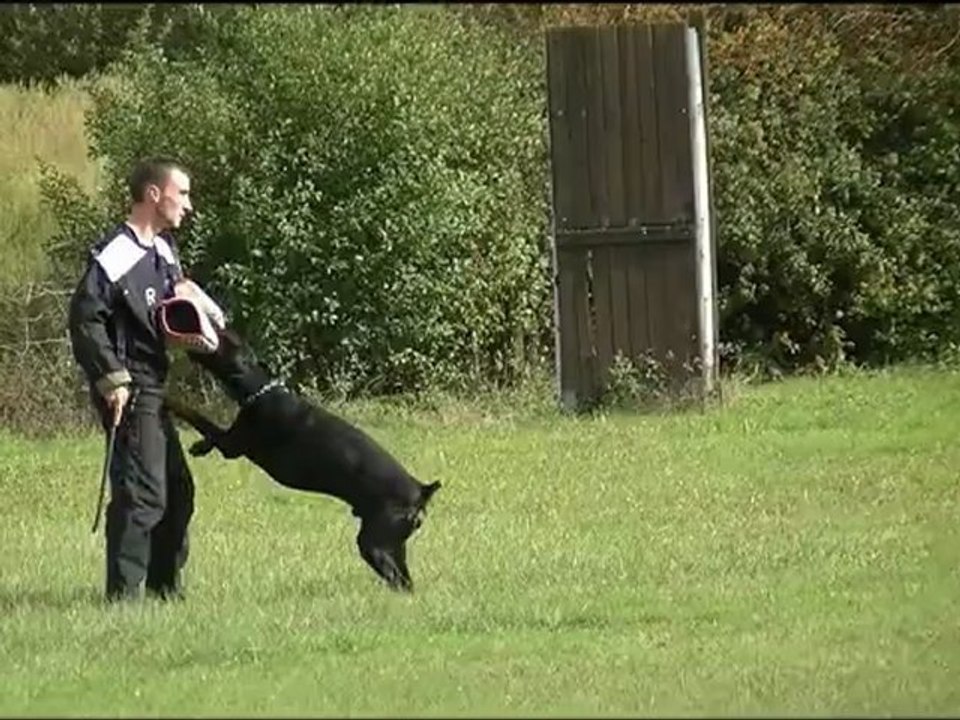 RCI  C   St Priest  15-09-12