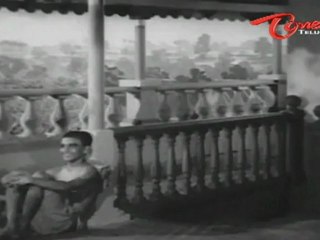 Shavukaru Songs - Palukaraadate - NTR - Shavukaru Janaki