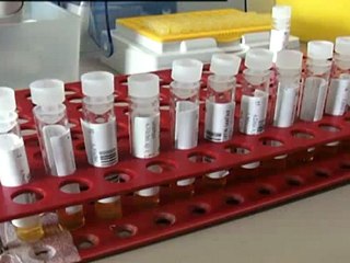 virus del nilo tre nuovi casi