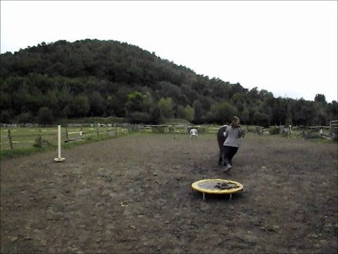 travail longues renes