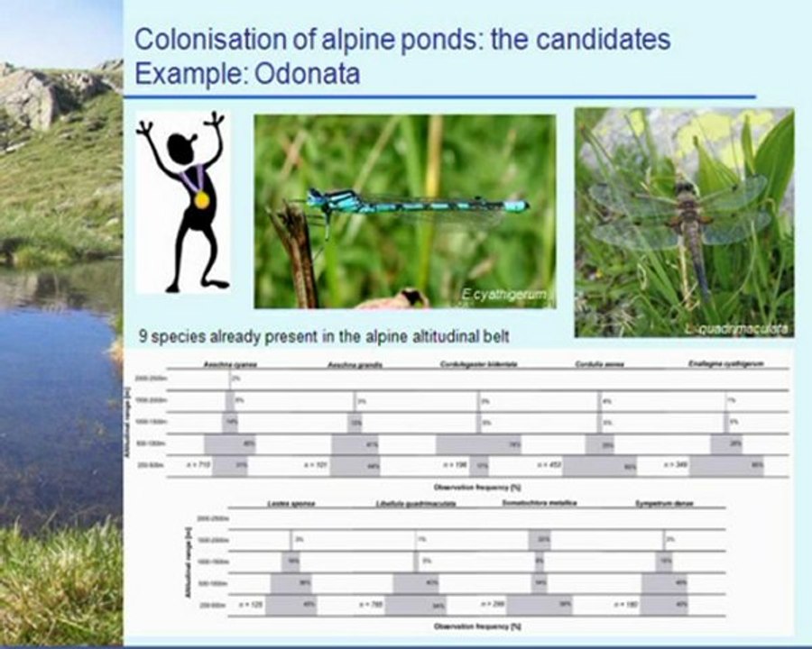 2008 Biodiversidad en lagos de montaña (2/2) , Cursos Verano