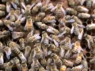 Curs.Nr.15 - Lectia.1 - Functii elementare - clasa.12