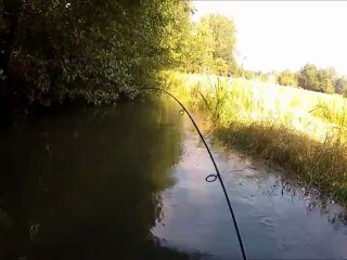 Summer in River (part 3) Bonus