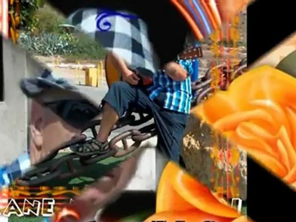 CANE NIKOLOVSKI - MOME KATINO