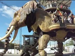 été 2012 - mer et animaux extraordinaires