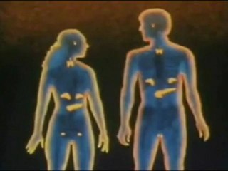 Les Hormones et la maladie d'ADDISON-Dr. AMINE A. casablanca