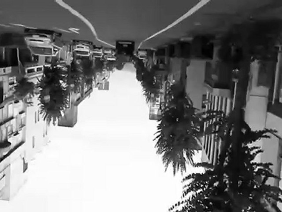 Street Scene Upside Down - Honcho Street, Kiryu, Gunma, Japan