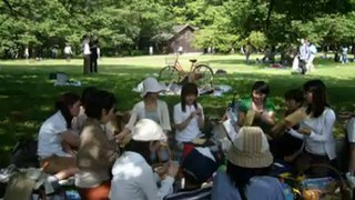 大阪城公園でのポットラックピクニック　参加費無料